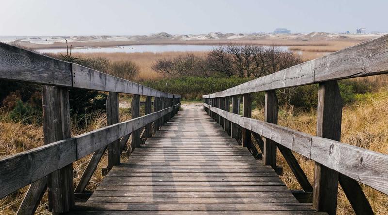 A wooden boardwalk of repeating spans
